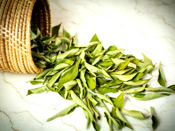 ಕರಿಬೇವಿನ ಎಲೆ ಮತ್ತು ತೆಂಗಿನೆಣ್ಣೆ