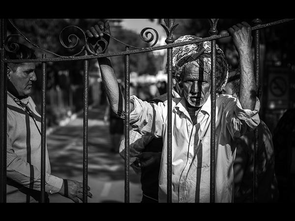 ಕಪ್ಪು ನೊಣ ತುಂಬಾ ವಿಷಕಾರಿ