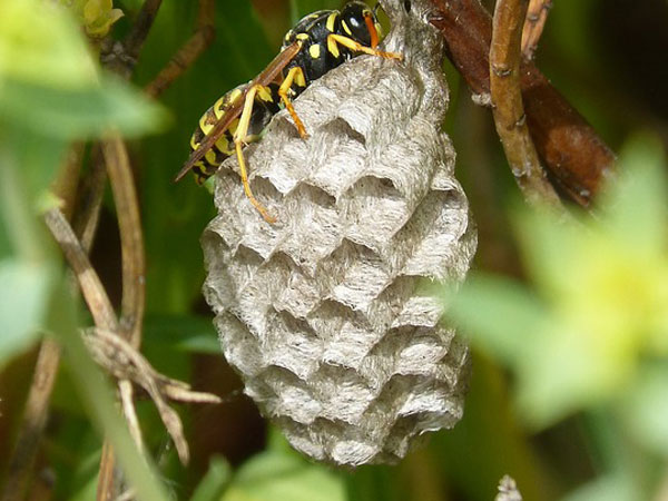ನಮ್ಮ ಸಲಹೆ