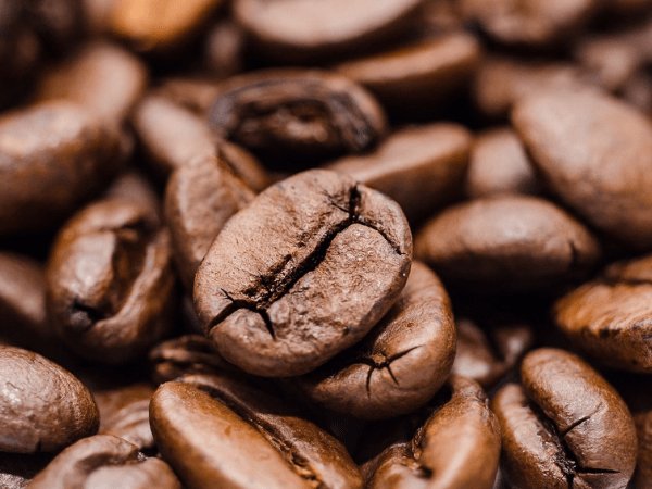 ಸೀಲಿಯಾಕ್ ಕಾಯಿಲೆ ಇರುವವರಿಗೂ ಸೂಕ್ತ