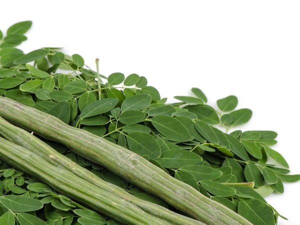 ನುಗ್ಗೆಯ ಮುಖಲೇಪವನ್ನು ಮನೆಯಲ್ಲಿಯೇ ತಯಾರಿಸುವುದು ಹೇಗೆ?