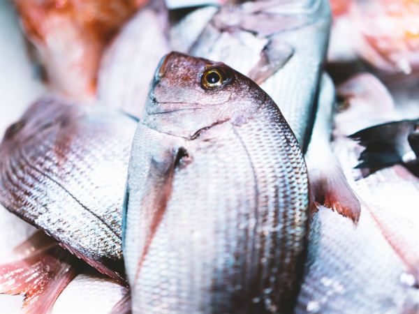 ನಿದ್ರಾಹೀನತೆ ನಿವಾರಣೆ