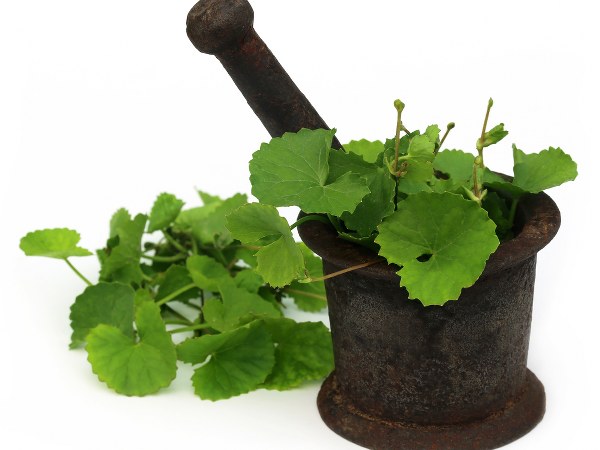 ಕೂದಲು ಉದುರುವಿಕೆ ತಡೆಯಲು ಹೇಗೆ ನೆರವಾಗುವುದು?