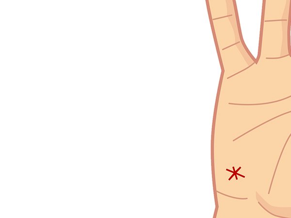 ಉತ್ತಮವಾಗಿ ಬೆಳೆದಿರುವ ಚಂದ್ರನ ಪರ್ವತ