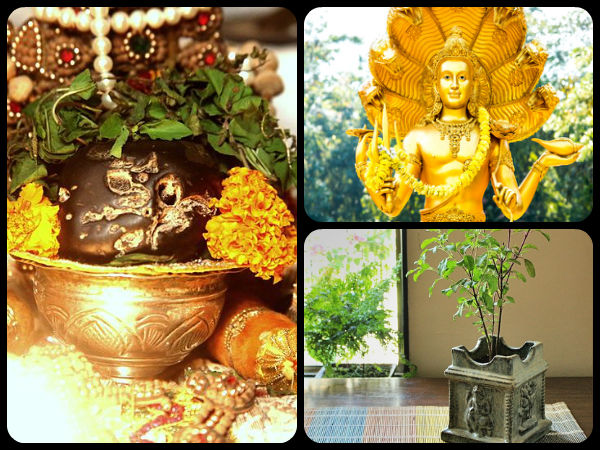 ಸಾಲಿಗ್ರಾಮ