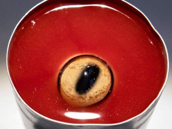 ಕುರಿ ಕಣ್ಣಿನ ಸೂಪ್!