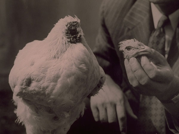 ಮೈಕ್ ಬದುಕುಳಿದಿರುವುದನ್ನು ನೋಡಿ ವೈದ್ಯಕೀಯ ಜಗತ್ತೇ ಅಚ್ಚರಿಗೀಡಾಯಿತು