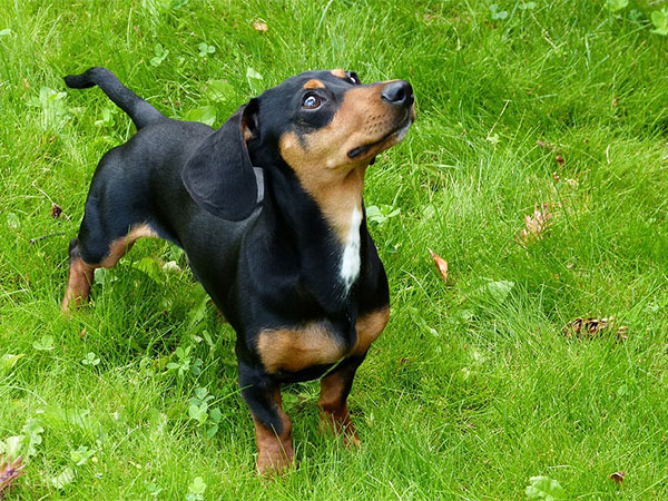 ನ್ಯಾಟ್ ಗರ್ಭಧಾರಣೆ ವೇಳೆ ತುಂಬಾ ಚಿಂತಿತಳಾಗಿದ್ದಳು