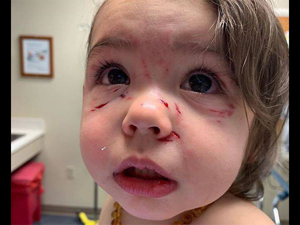 ಮನೆಯಲ್ಲಿ ಸಾಕು ನಾಯಿ ಇದ್ದರೆ ಆಗ ನೀವು ಗಮನದಲ್ಲಿ ಇಟ್ಟುಕೊಳ್ಳಬೇಕಾದ ವಿಚಾರಗಳು…