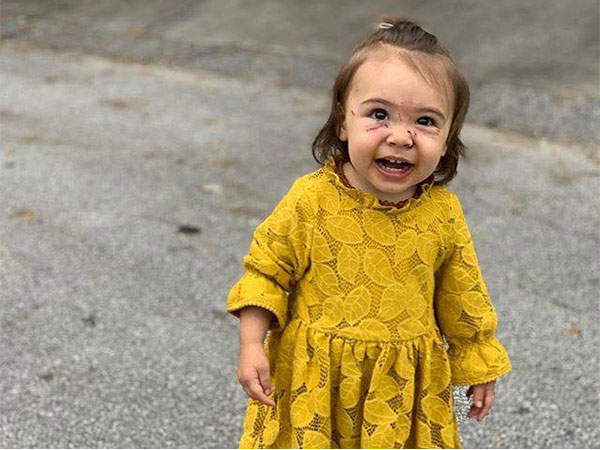 ಮನೆಯಲ್ಲಿ ಸಾಕು ನಾಯಿ ಇದ್ದರೆ ಆಗ ನೀವು ಗಮನದಲ್ಲಿ ಇಟ್ಟುಕೊಳ್ಳಬೇಕಾದ ವಿಚಾರಗಳು…