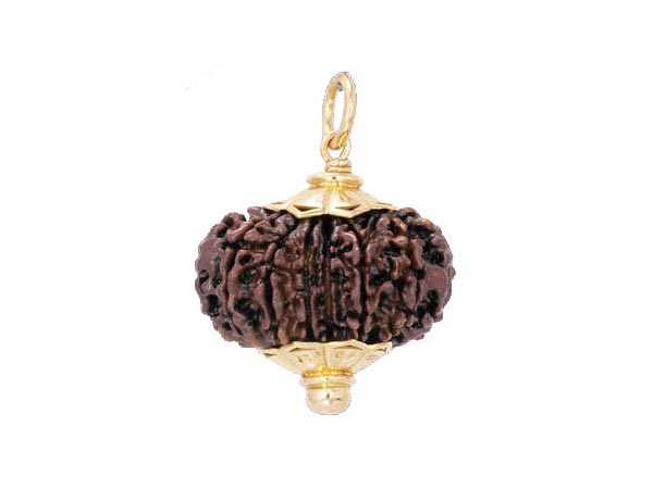 ಹದಿನಾಲ್ಕು ಮುಖದ ರುದ್ರಾಕ್ಷಿ