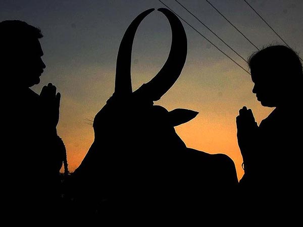 ಮಕರ ಸಂಕ್ರಾಂತಿಯ ಮಹತ್ವ, ಆಚರಣೆ ಮತ್ತು ಆಹಾರ