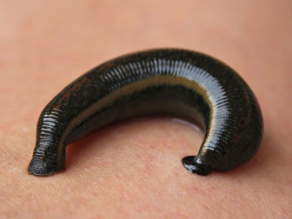 ಘಟನೆಯು ವಿಯೆಟ್ನಾಂನಲ್ಲಿ ನಡೆದಿದೆ