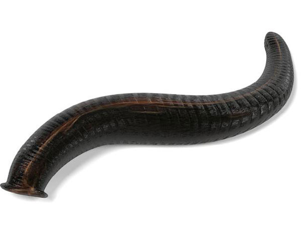 ಜಿಗಣೆ ಗಂಟಲಿನ ಭಾಗಕ್ಕೆ ಹೇಗೆ ಹೋಯಿತು?