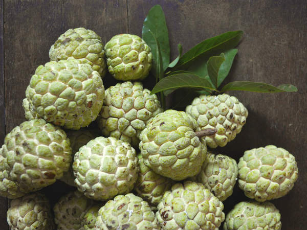 ಚಿಕಿತ್ಸಕ ಪ್ರಕ್ರಿಯೆ