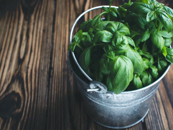 ಶುಂಠಿ-ತುಳಸಿ ಮಿಶ್ರಣ ಶುಂಠಿ-ತುಳಸಿ ಮಿಶ್ರಣ