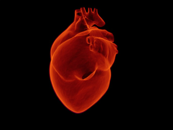 ಕಲಿಯಲು ಮತ್ತು ನೆನಪಿಸಿಕೊಳ್ಳಲು ನೆರವಾಗುವುದು ಕಲಿಯಲು ಮತ್ತು ನೆನಪಿಸಿಕೊಳ್ಳಲು ನೆರವಾಗುವುದು