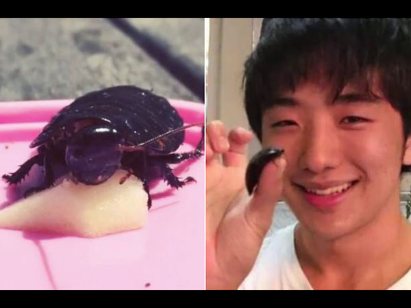 ಲಿಸಾ ಸಾಯುವ ತನಕ ಅವರ ಪ್ರೀತಿ ಬಲವಾಗಿತ್ತು ಲಿಸಾ ಸಾಯುವ ತನಕ ಅವರ ಪ್ರೀತಿ ಬಲವಾಗಿತ್ತು