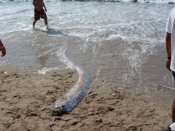 ಜಪಾನ್ ನ ಸಾಮಾಜಿಕ ಜಾಲತಾಣಗಳಲ್ಲಿ ಬೇಸರ ಜಪಾನ್ ನ ಸಾಮಾಜಿಕ ಜಾಲತಾಣಗಳಲ್ಲಿ ಬೇಸರ