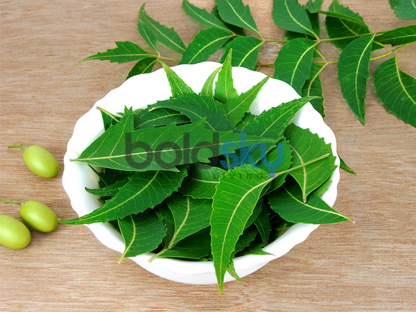 ಬೇವಿನ ಎಲೆಗಳು ಮತ್ತು ಕೊಬ್ಬರಿ ಎಣ್ಣೆ