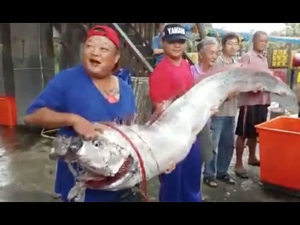 ಒರಾ ಮೀನುಗಳು ಪತ್ತೆಯಾಗಿರುವ ಬಗ್ಗೆ ಒಂದು ಸಾಧ್ಯತೆಯ ವಿವರಣೆ ಒರಾ ಮೀನುಗಳು ಪತ್ತೆಯಾಗಿರುವ ಬಗ್ಗೆ ಒಂದು ಸಾಧ್ಯತೆಯ ವಿವರಣೆ