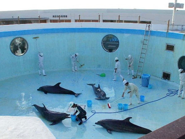 ಸ್ವಚ್ಛಗೊಳಿಸುವ ವೇಳೆ