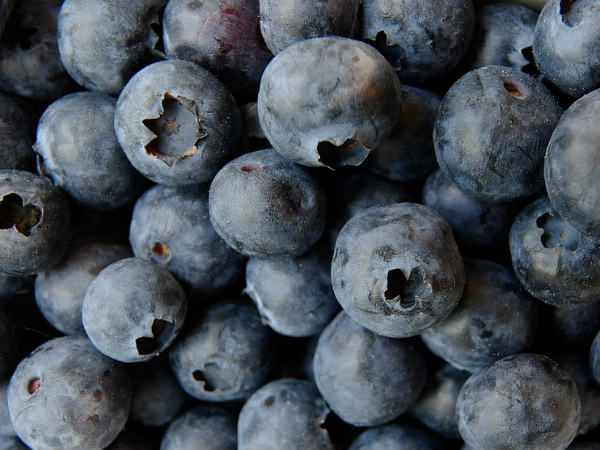 ಜೇನುತಪ್ಪ ಮತ್ತು ದ್ರಾಕ್ಷಿಯ ಫೇಸ್ ಪ್ಯಾಖ್