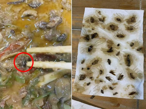 ಈ ಮಹಿಳೆ ಆನ್ ಲೈನ್ ನಲ್ಲಿ ಆಹಾರ ಆರ್ಡರ್ ಮಾಡಿದ್ದಳು