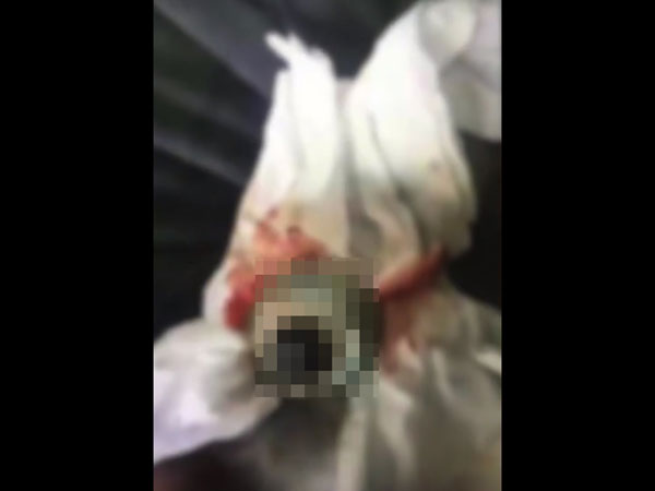 ಈ ಘಟನೆ ನಡೆದಿರುವು ಚೀನಾದಲ್ಲಿ