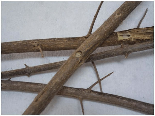 ಸಾಲಗಾರರಿಂದ ಹಣ ಬರುವಂತೆ ಮಾಡಲು ಸಾಲಗಾರರಿಂದ ಹಣ ಬರುವಂತೆ ಮಾಡಲು