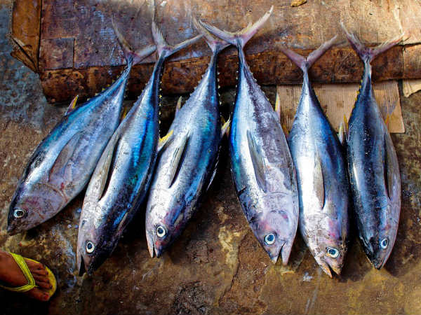 ಲಿನ್ಸೀಡ್ಸ್