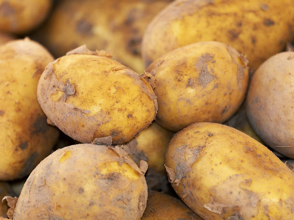 ತಲೆಹೊಟ್ಟು ಇಲ್ಲವಾಗಲು