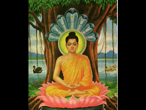 ಬುದ್ಧನು ಆ ಹುಡುಗಿಯ ಭಕ್ತಿಯಿಂದಲೇ ಅಲ್ಲಿಗೆ ಬಂದಿದ್ದರು ಬುದ್ಧನು ಆ ಹುಡುಗಿಯ ಭಕ್ತಿಯಿಂದಲೇ ಅಲ್ಲಿಗೆ ಬಂದಿದ್ದರು