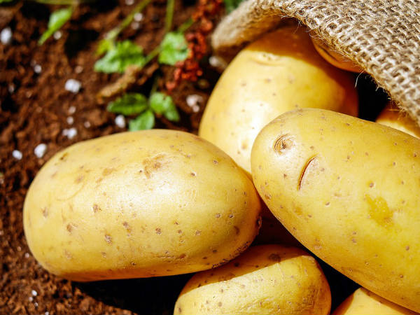 ತಯಾರಿಕಾ ವಿಧಾನ