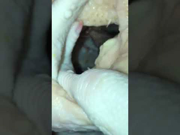 ನೆಟ್ಟಿಗರ ಪ್ರತಿಕ್ರಿಯೆ… ನೆಟ್ಟಿಗರ ಪ್ರತಿಕ್ರಿಯೆ…