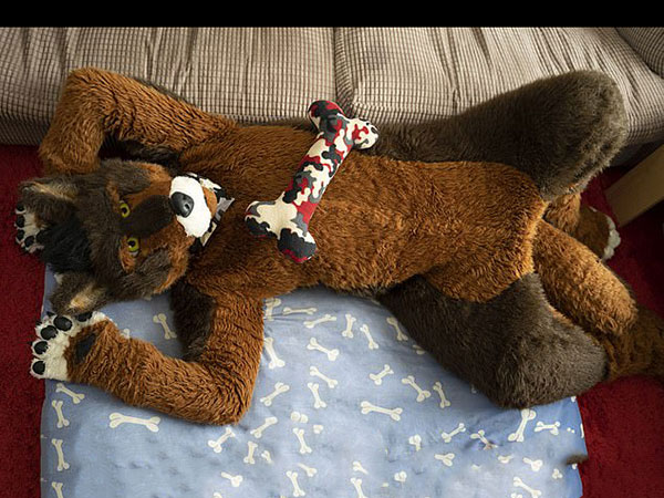 ಆತ ನಾಯಿ ಮರಿಯಂತಹ ಬಟ್ಟೆ ಧರಿಸುವನು ಆತ ನಾಯಿ ಮರಿಯಂತಹ ಬಟ್ಟೆ ಧರಿಸುವನು