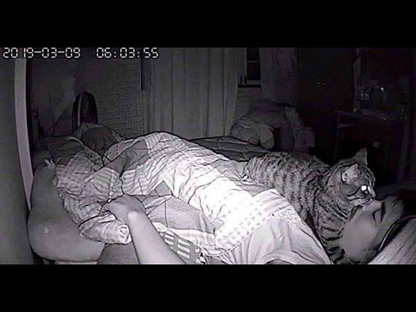 ಬೆಕ್ಕು ಆತನ ಮುಖದ ಮೇಲೆ ಮಲಗುವುದನ್ನು ಇಷ್ಟಪಡುತ್ತಿತ್ತು ಬೆಕ್ಕು ಆತನ ಮುಖದ ಮೇಲೆ ಮಲಗುವುದನ್ನು ಇಷ್ಟಪಡುತ್ತಿತ್ತು