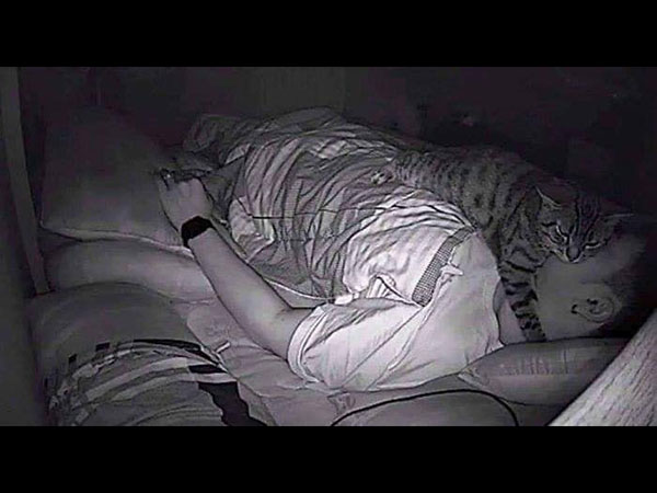 ಬೆಕ್ಕು ಆತನ ಮುಖದ ಮೇಲೆ ಮಲಗುವುದನ್ನು ಇಷ್ಟಪಡುತ್ತಿತ್ತು ಬೆಕ್ಕು ಆತನ ಮುಖದ ಮೇಲೆ ಮಲಗುವುದನ್ನು ಇಷ್ಟಪಡುತ್ತಿತ್ತು