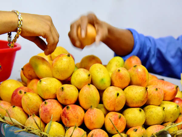 Can Diabetics Eat Mangoes?