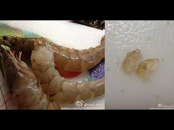 ಜಿಲೆಟಿನ್ ತುಂಬಿರುವ ಸಿಗಡಿಯು ಮಹಿಳೆಗೆ ಸಿಕ್ಕಿದೆ