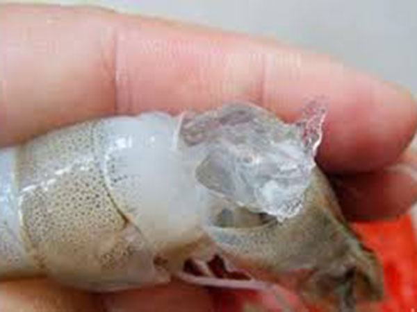 ಇದು ಮೊದಲ ಘಟನೆಯಲ್ಲ