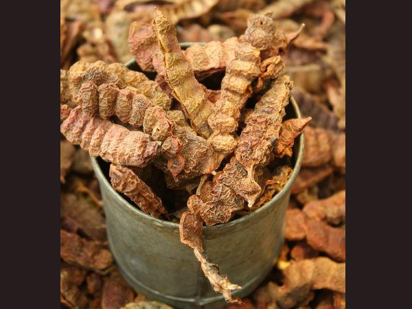 ಸೀಗೆಕಾಯಿ