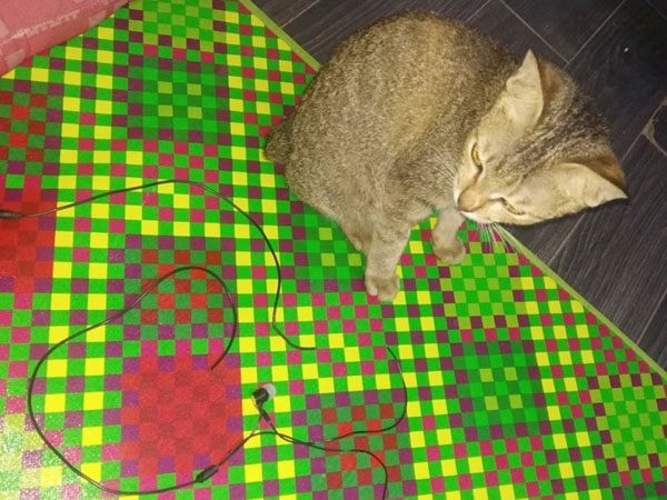 ಈ ಪೋಸ್ಟ್ ತುಂಬಾ ವೈರಲ್ ಆಗಿದೆ