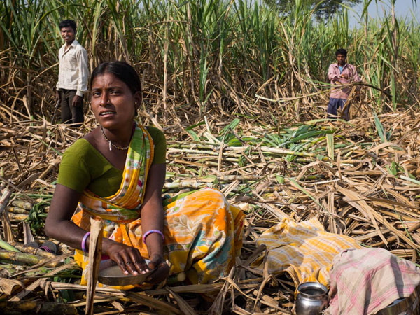 ವರದಿಗಳು ಹೇಳುವ ಪ್ರಕಾರ
