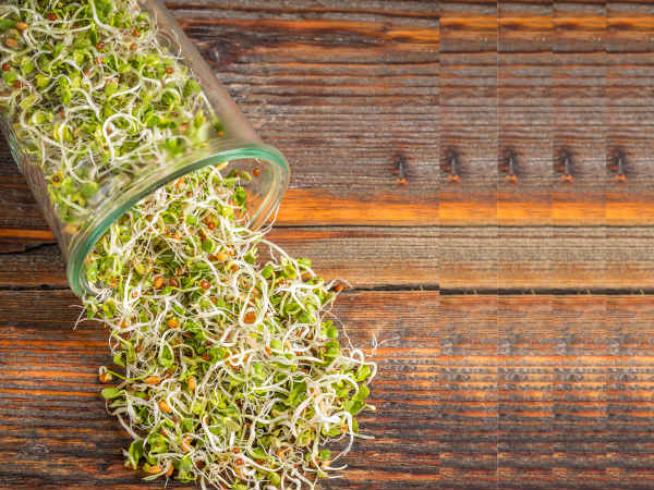 ರಕ್ತದ ಸಕ್ಕರೆ ಮಟ್ಟ ನಿಯಂತ್ರಣಕ್ಕೆ ಬೇಕು ಮೊಳಕೆಕಾಳುಗಳು