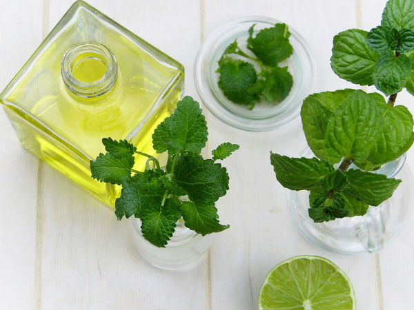 ಪುದಿನಾ ಎಲೆಗಳ ಲೇಪ