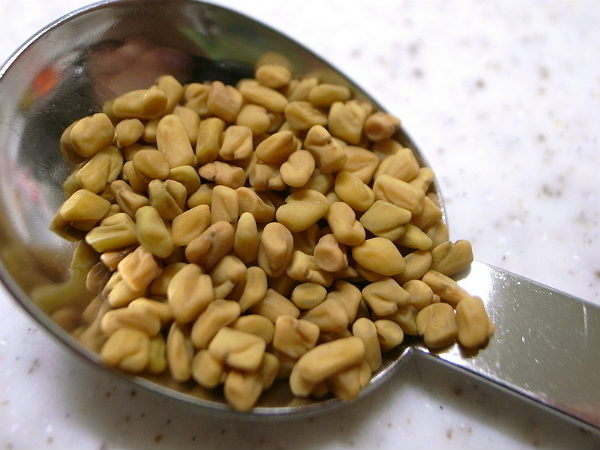 Fenugreek