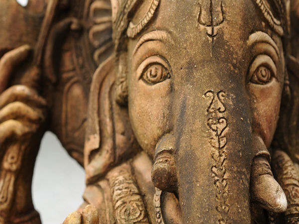 ಗಣಪ ಮೂರ್ತಿಯಲ್ಲಿ ಸಸ್ಯದ ಬೀಜ