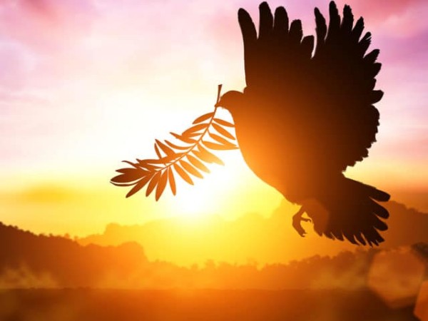 ಬಾಳಿಗೊಂದು ಅರ್ಥ ಕಲ್ಪಿಸಿ