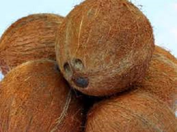 12. ಮೂರು ಕಣ್ಣಿನ ತೆಂಗಿನ ಕಾಯಿ